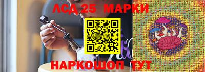 гидропоника Волжск